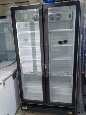 Well Maintained Double Door Display Fridge (1200l)