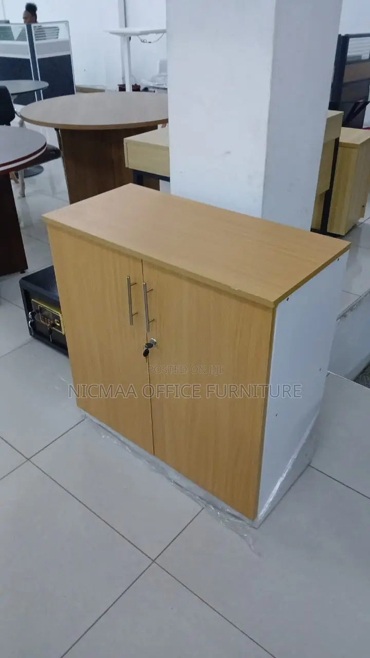 Two-Tone Executive Storage Cabinet