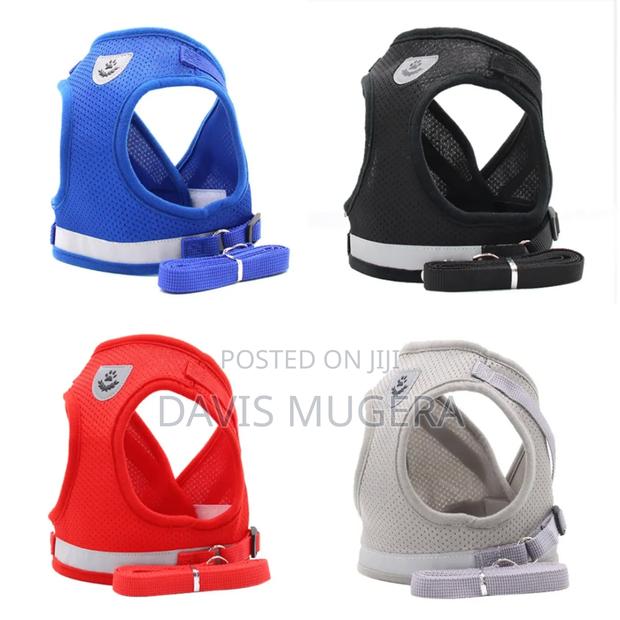 Polyester Mesh Dog Harness Leash Set (Xs,S,M,L,Xl) - thumbnail 3