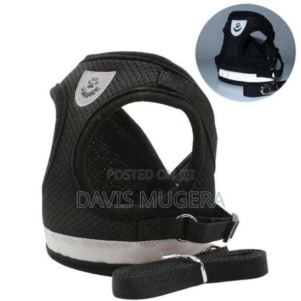 Polyester Mesh Dog Harness Leash Set (Xs,S,M,L,Xl) - thumbnail 9