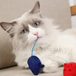 Cat Mice Toy Colourful Popular Toys for Dogs and Cats.