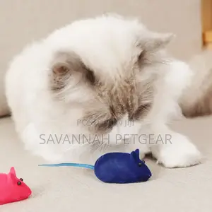Cat Mice Toy Colourful Popular Toys for Dogs and Cats.