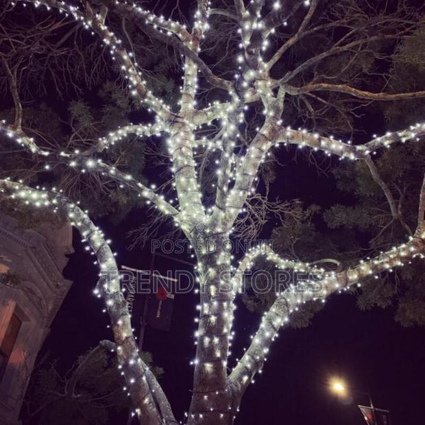 Christmas Lights