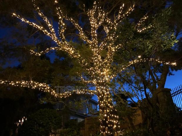 Christmas Lights - main view