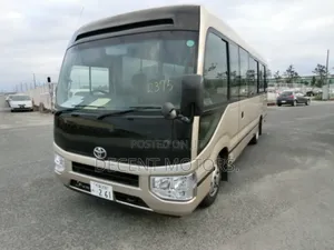 Toyota Coaster 2019 Brown