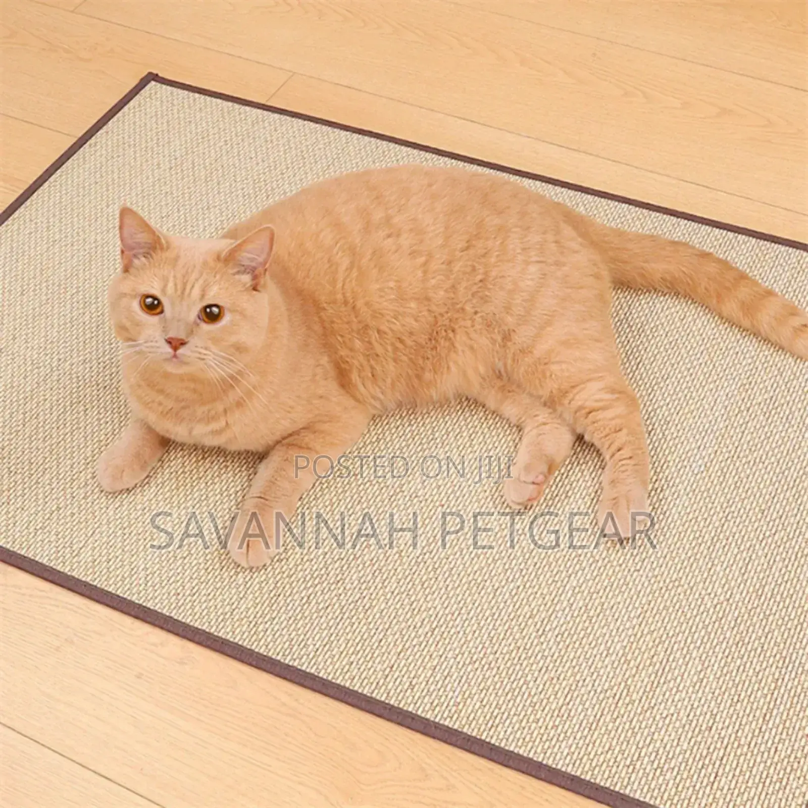 Natural Sisal Mat for Cat Kitten Scratching Board (60cm*90cm)