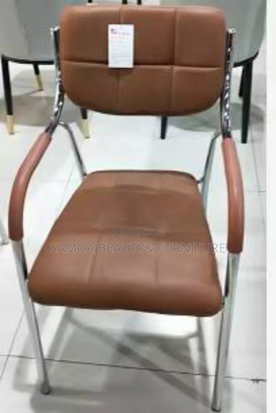 Salon Chair
