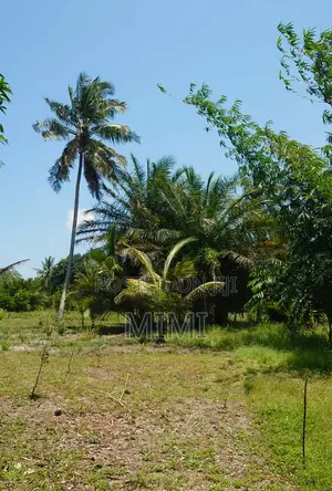 5 Acre Fertile Farm Mrima Not Far From Ramisi . Freehold