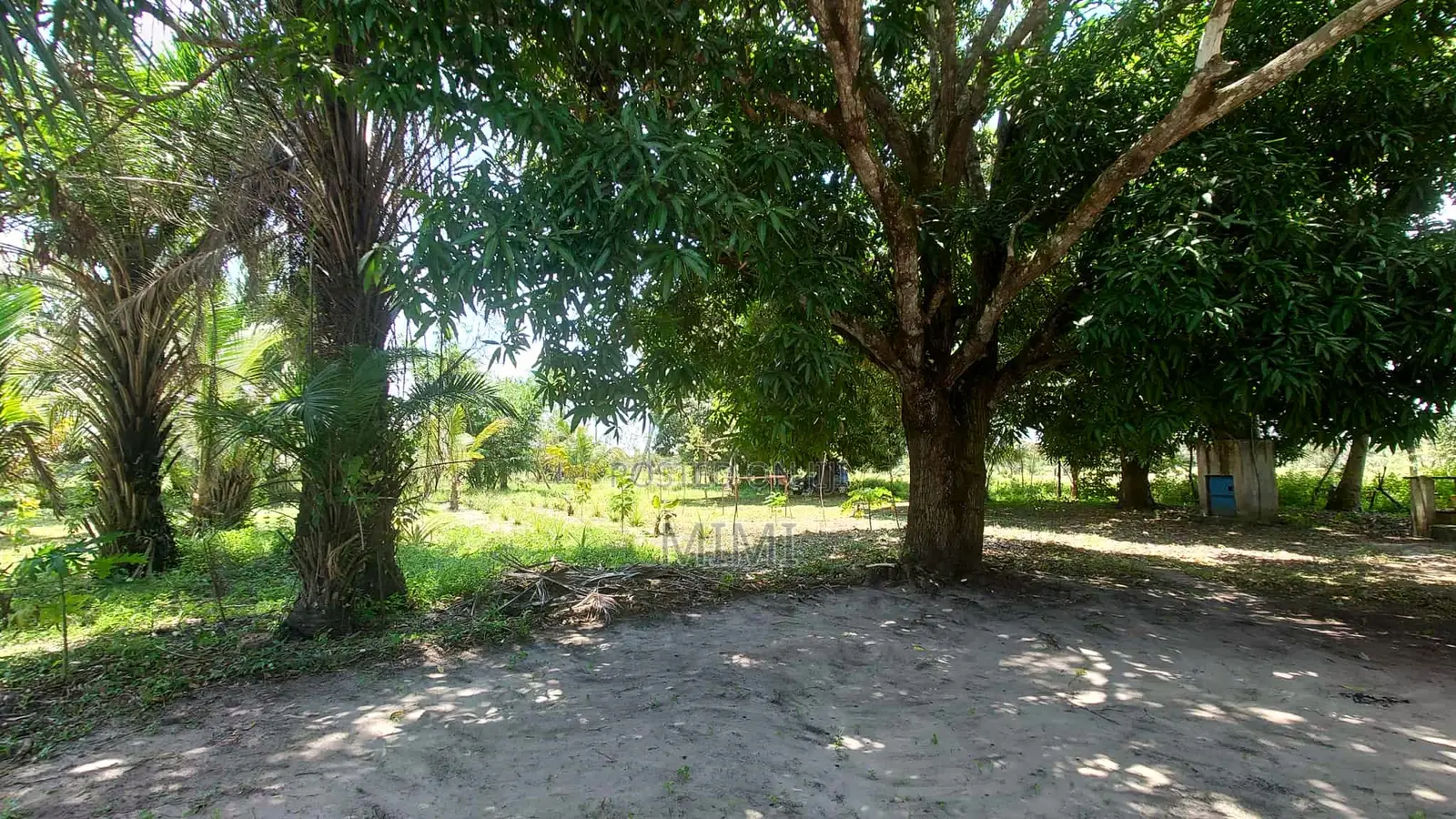 5 Acre Fertile Farm Mrima Not Far From Ramisi . Freehold
