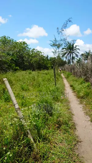 5 Acre Fertile Farm Mrima Not Far From Ramisi . Freehold
