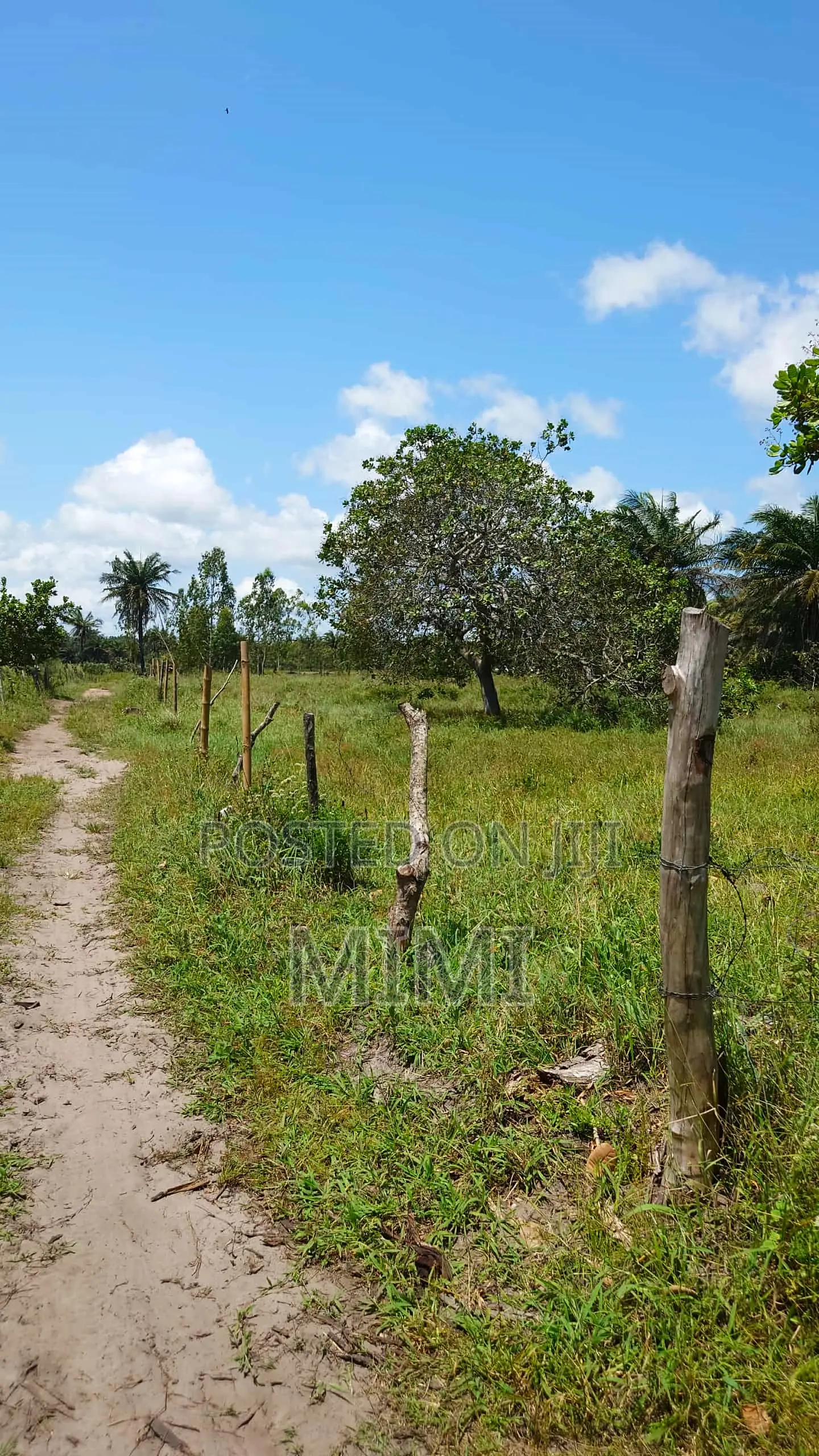 5 Acre Fertile Farm Mrima Not Far From Ramisi . Freehold