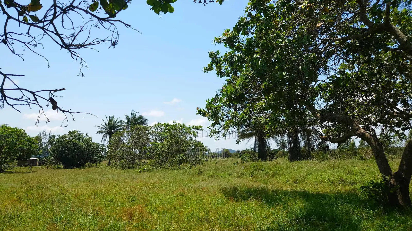5 Acre Fertile Farm Mrima Not Far From Ramisi . Freehold