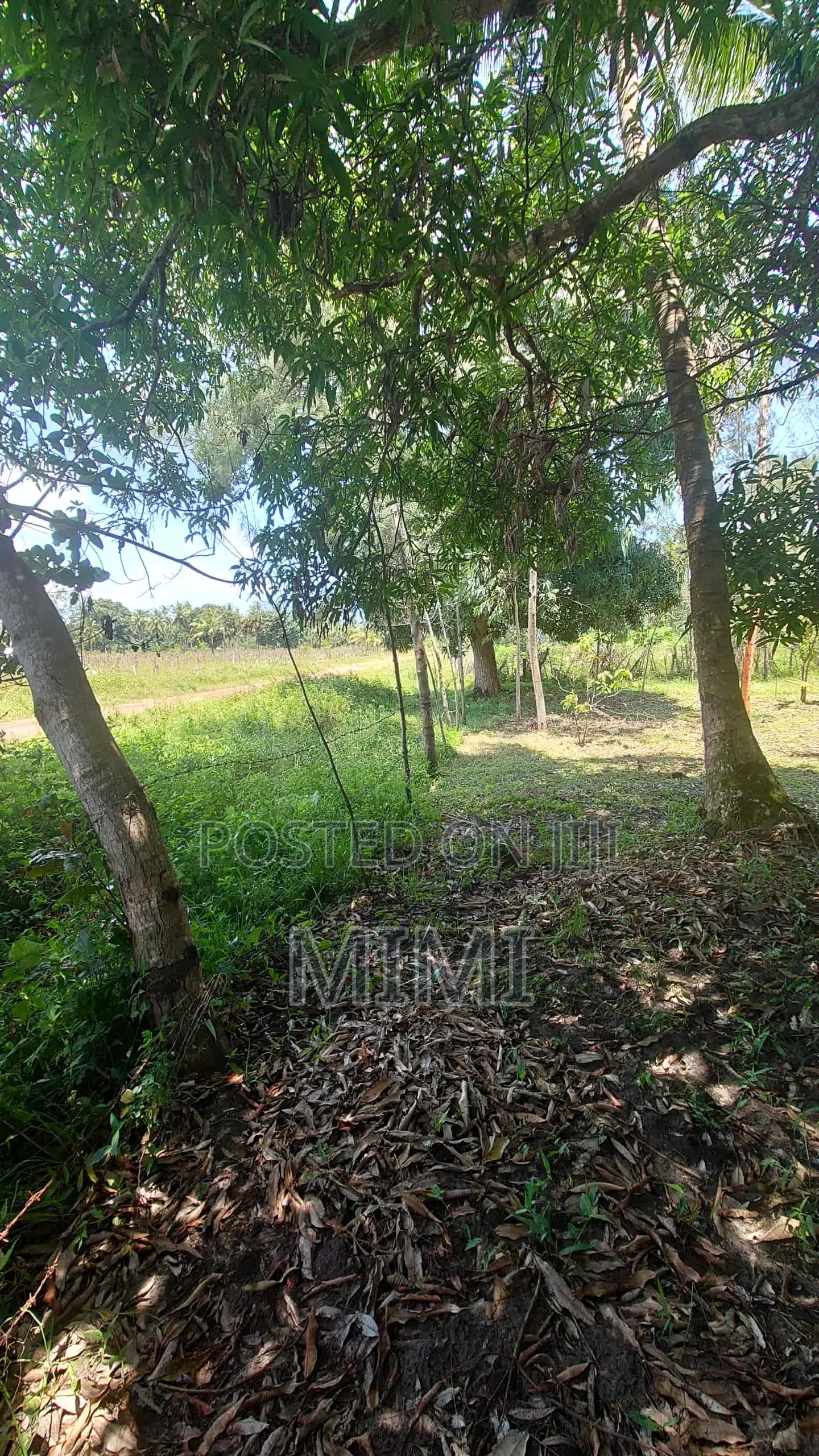 5 Acre Fertile Farm Mrima Not Far From Ramisi . Freehold