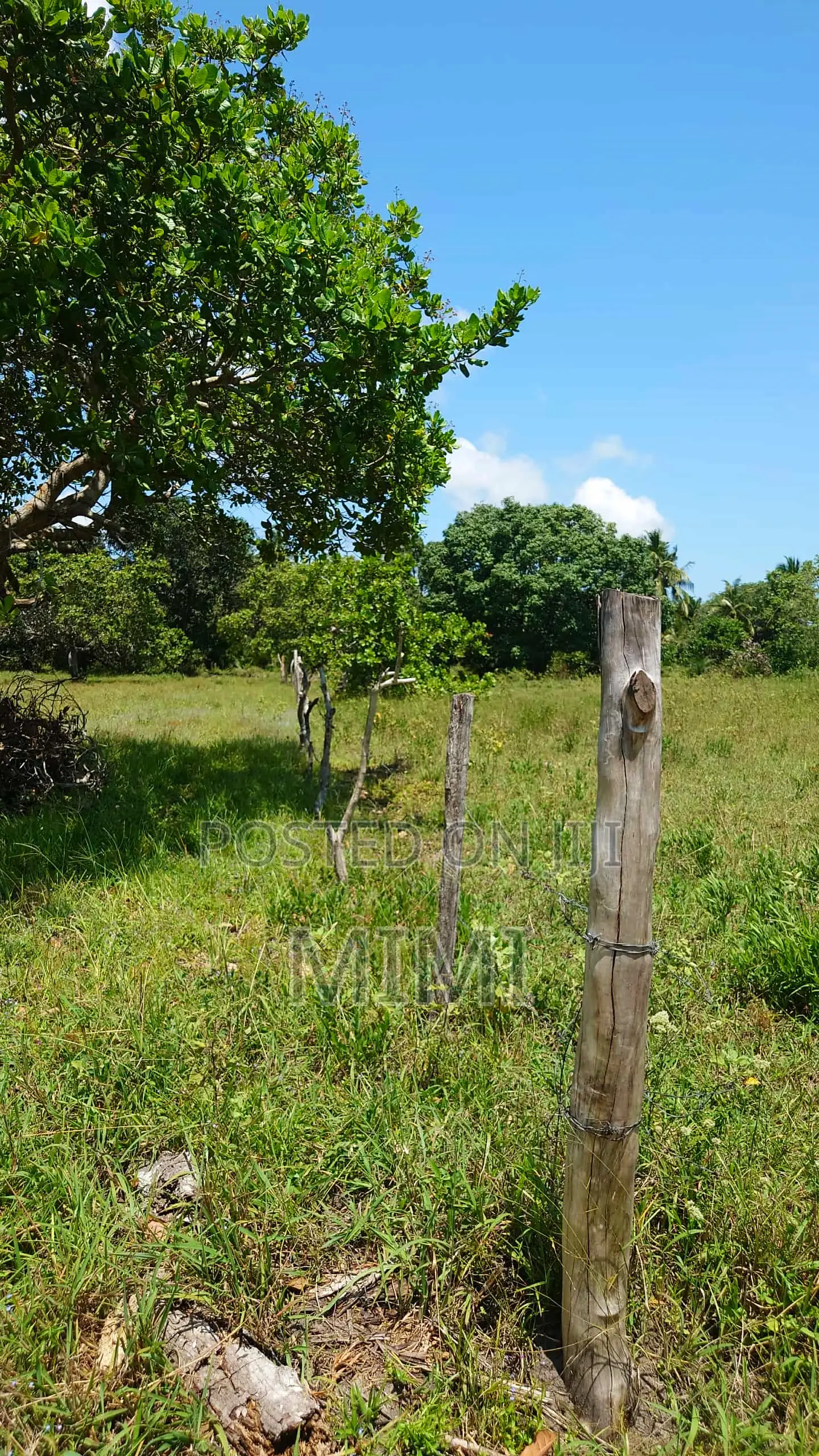 5 Acre Fertile Farm Mrima Not Far From Ramisi . Freehold
