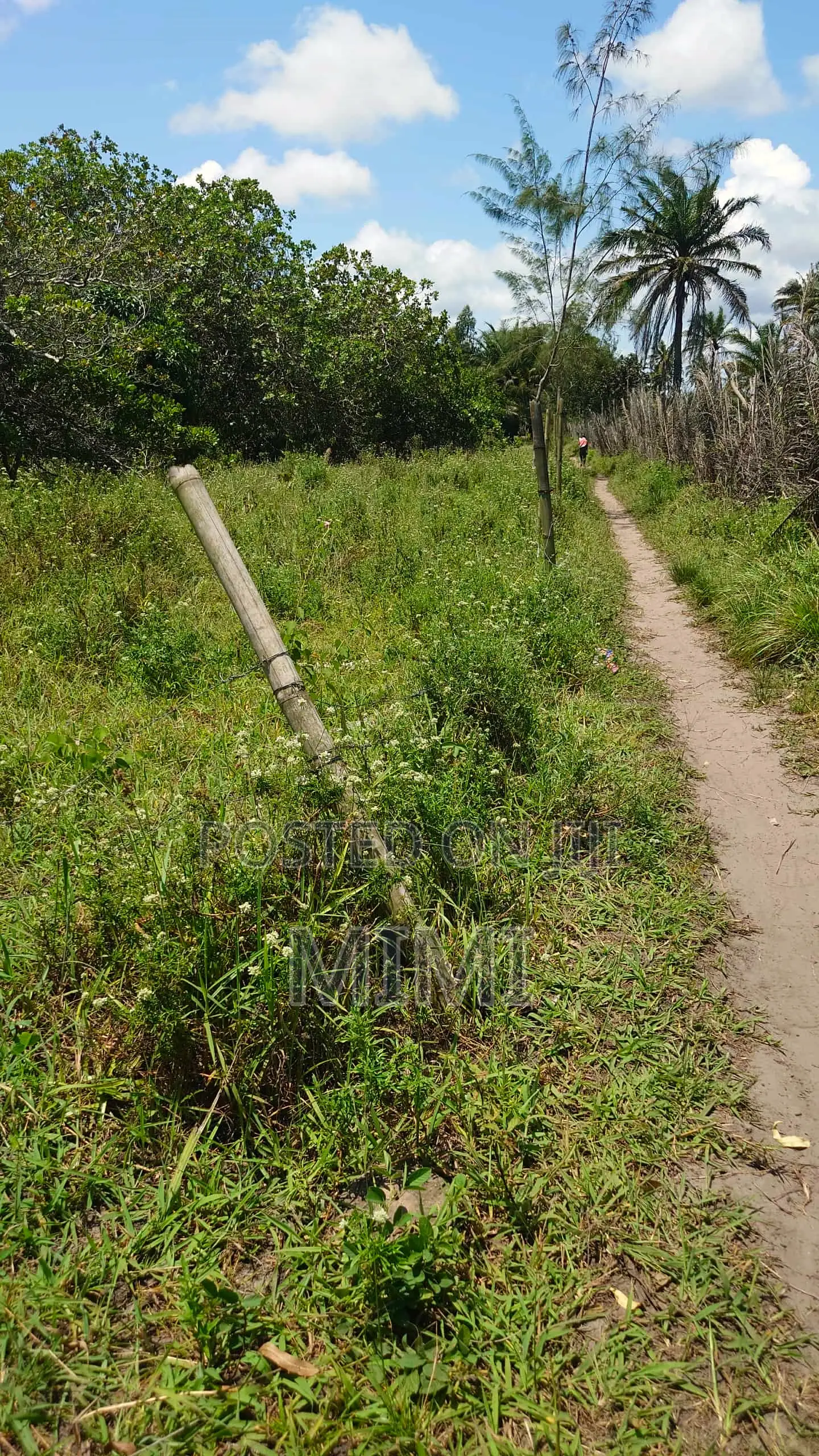 5 Acre Fertile Farm Mrima Not Far From Ramisi . Freehold