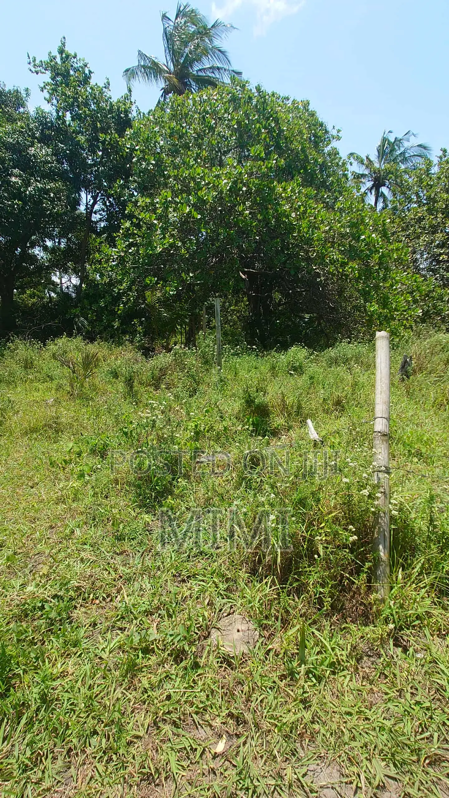 5 Acre Fertile Farm Mrima Not Far From Ramisi . Freehold