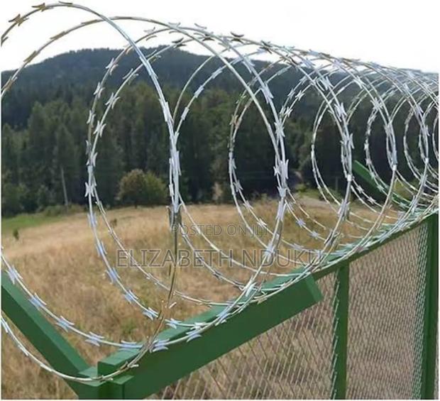 Virtual Deterrence ( Razor Wire) - main view