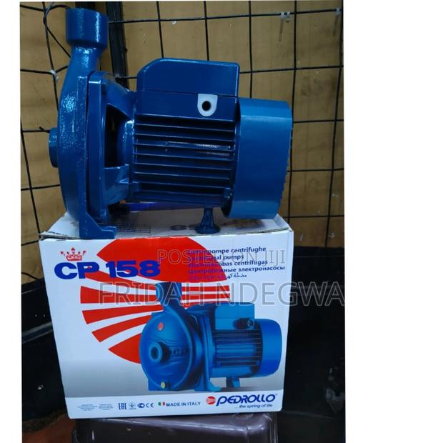 1 Hp Pedrolla Water Pump - main view