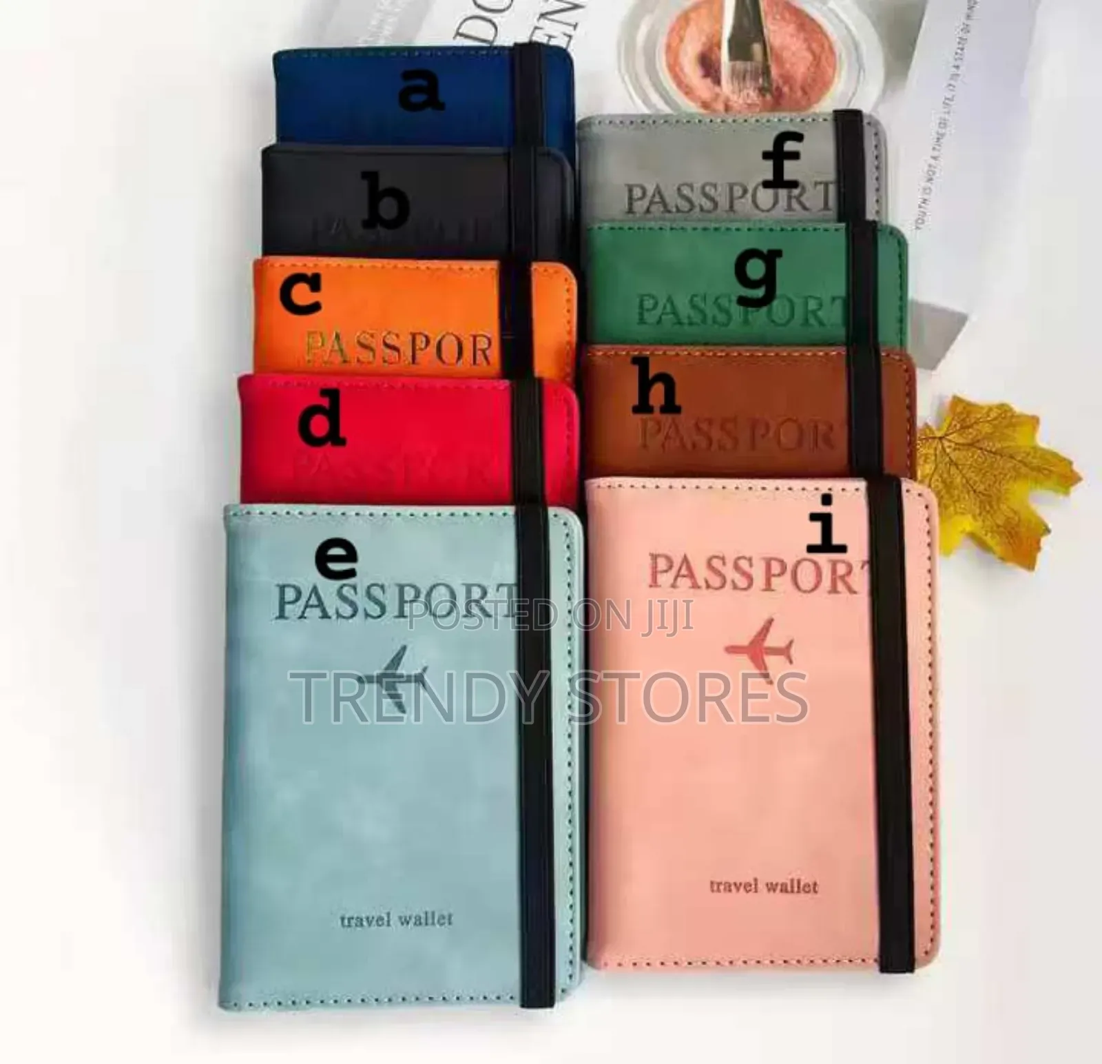Passport Holder