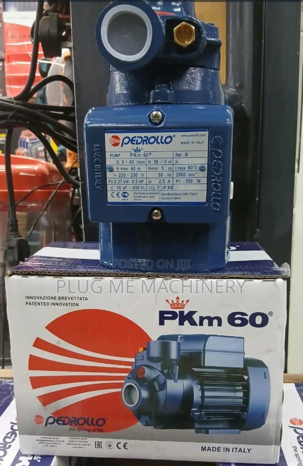Pedrollo Water Pump/Pkm60 Pedrollo Pump 0.5hp