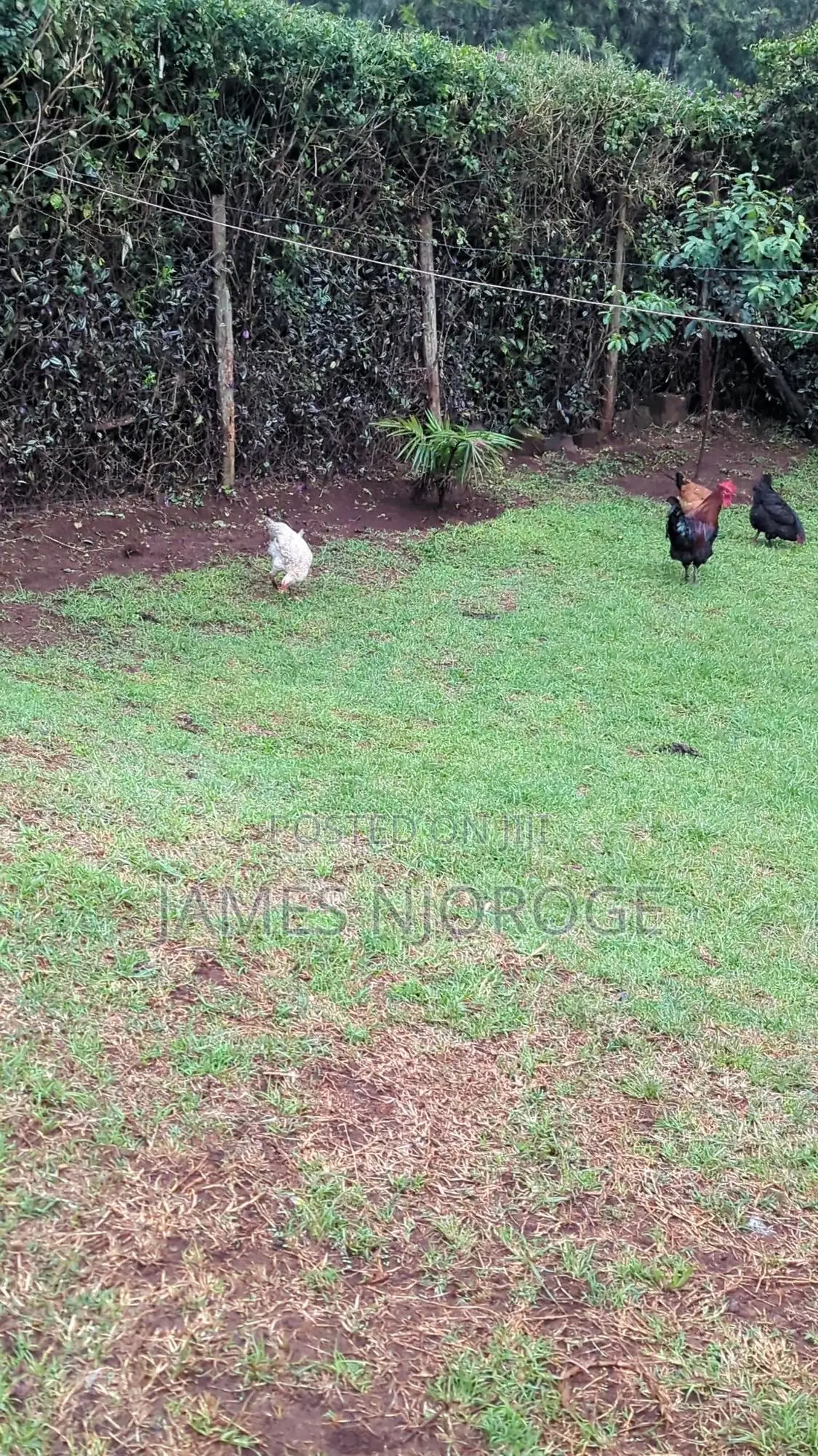 Muguga Plot for Sale