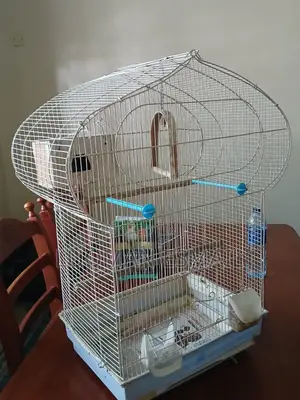 Cage for Birds