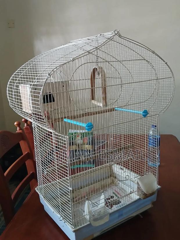 Cage for Birds - main view