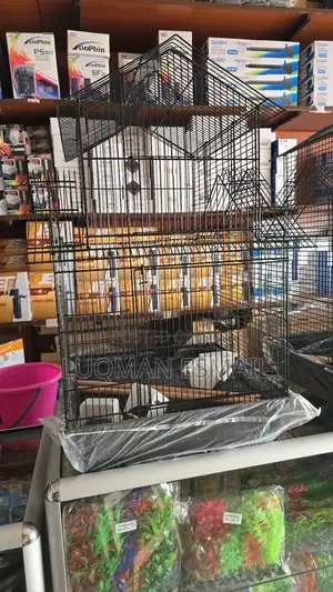 Black Cage for Birds