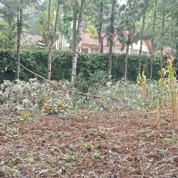 An Eighth of an Acre Plot Ngong Overlooking Ngong Hills 3.5m - thumbnail 6