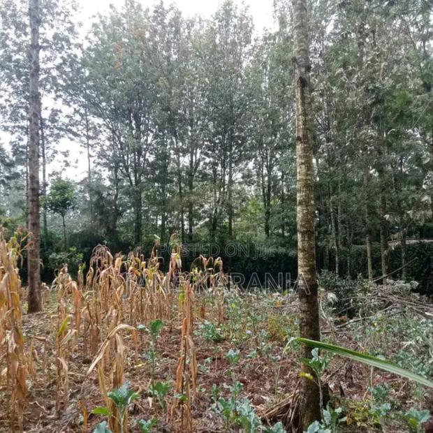 An Eighth of an Acre Plot Ngong Overlooking Ngong Hills 3.5m - thumbnail 7