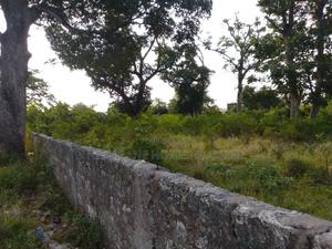 Commercial Land-Changamwe - thumbnail 2