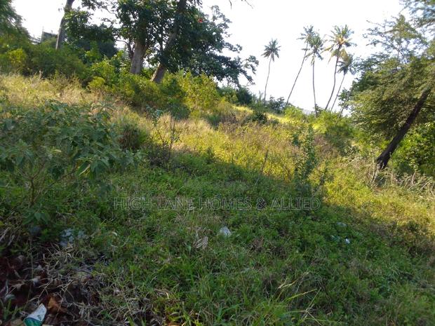 Commercial Land-Changamwe - thumbnail 7