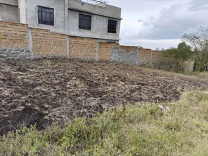 Eighth Acre Plot on Sale in Ngong 150 Meters From Merisho Rd Tarmac