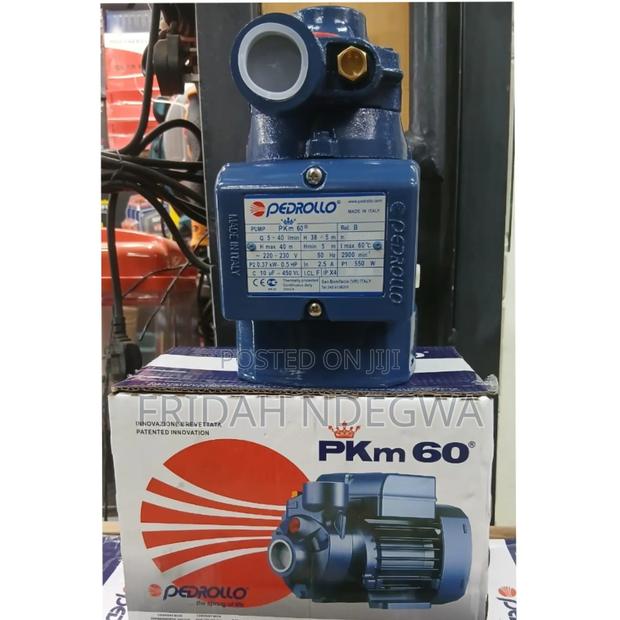 Water Pump 0.5 Pedrolla - main view