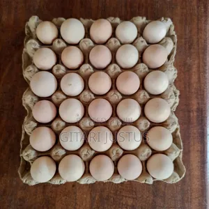 All Breeds Of Ducks Fertilized Eggs