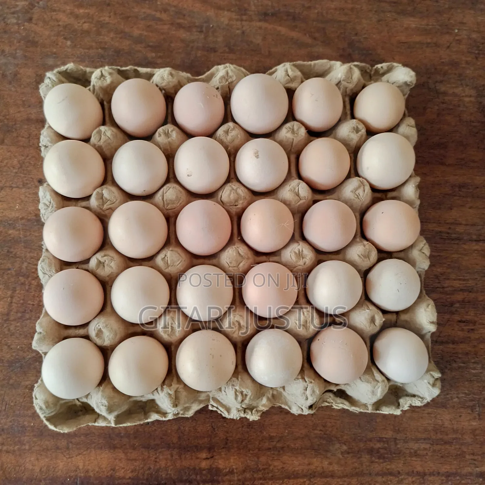 All Breeds Of Ducks Fertilized Eggs