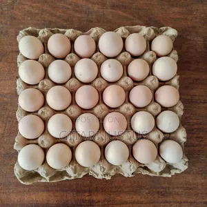 All Breeds Of Ducks Fertilized Eggs