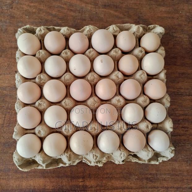 All Breeds Of Ducks Fertilized Eggs - main view