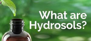 Hydrosol Available - thumbnail 2