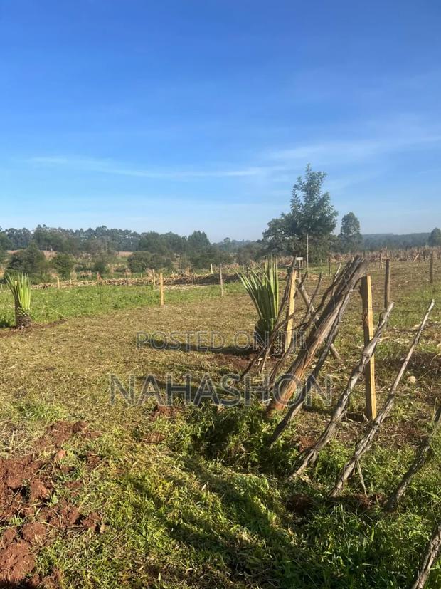 Land for Sale Kitale Town - thumbnail 5