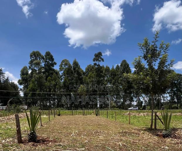 Land for Sale Kitale Town - thumbnail 6