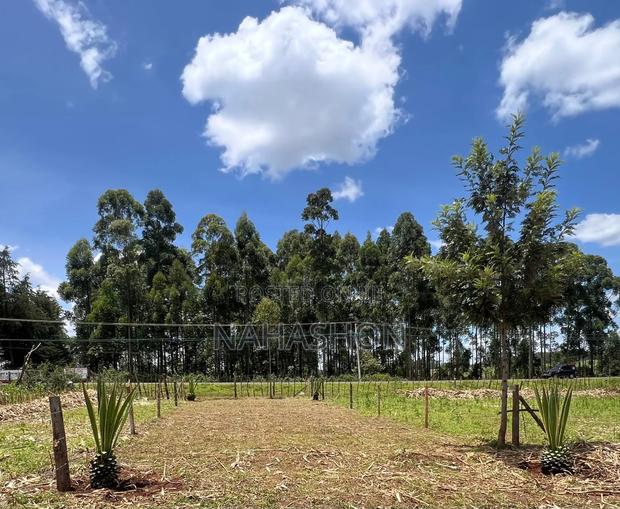 Land for Sale Kitale Town - thumbnail 8