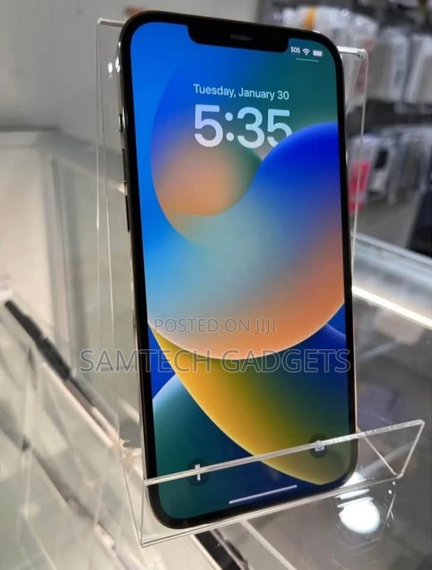 Apple iPhone 12 Pro Max 256 GB Gold - thumbnail 5