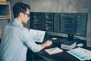 Software Developer | Building Scalable Efficient Solution