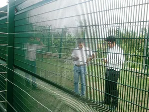 Anti Climb Fence
