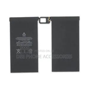 iPad 12.9 Battery
