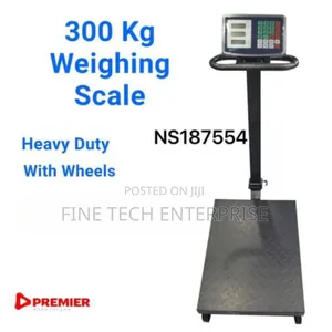 300 KGS Platform Weighing Scale