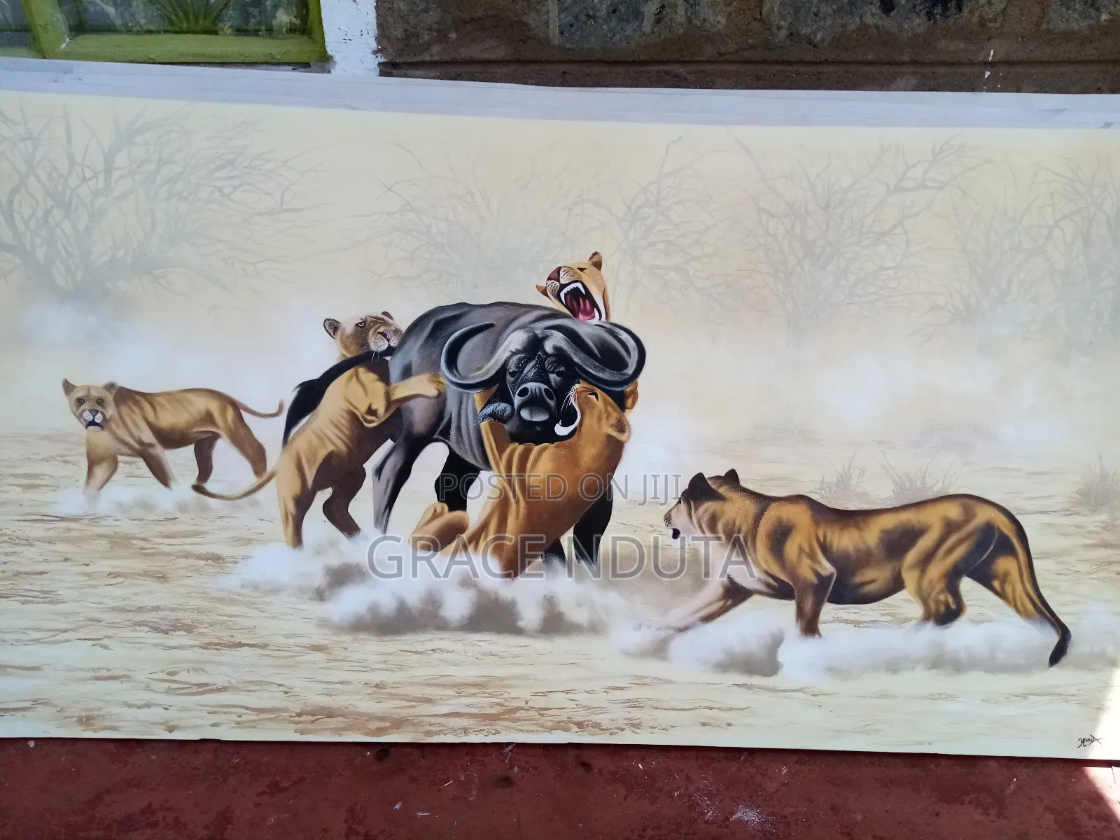 Wildlife, Landscapes and Portraits