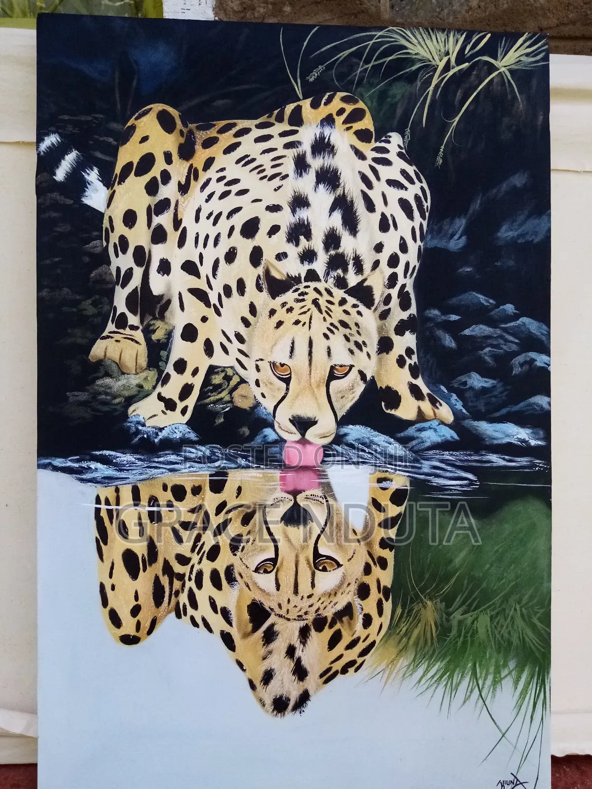 Wildlife, Landscapes and Portraits