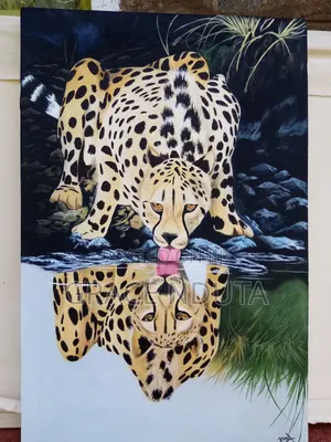 Wildlife, Landscapes and Portraits